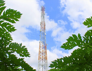 Telecommunication tower in blue sky framed by papaya leaves. Cellular antenna for 5G network coverage, digital connectivity, and wireless technology infrastructure in rural or tropical environment.