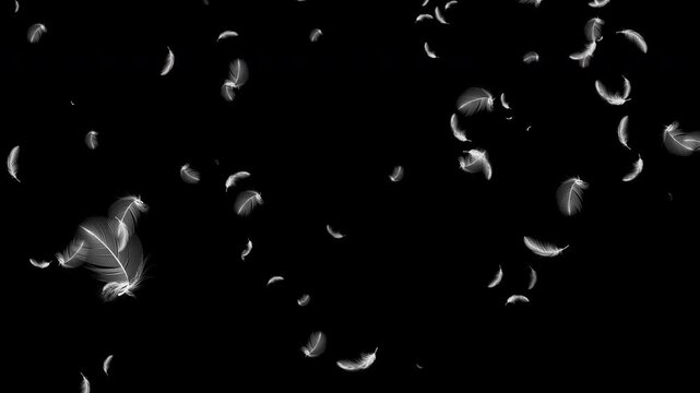 feather wing particle