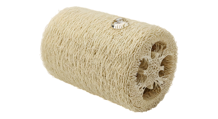 Natural loofah sponge isolated on transparent background