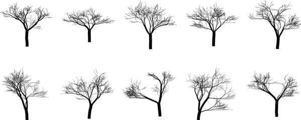 Silhouette trees in black and white a graphic representation of nature in abstract form for creative projects