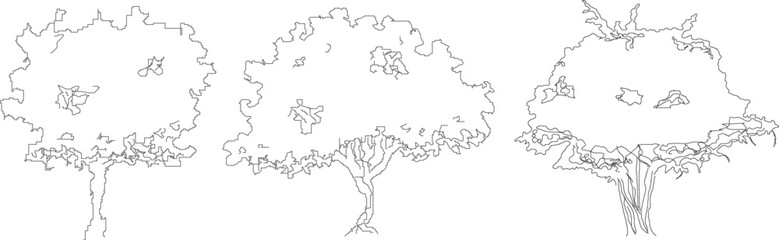 cad tree line drawing, Side view, set of graphics trees elements outline symbol for architecture and landscape design drawing. Vector illustration