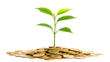 Plant growing from pile of gold coins on transparent background money