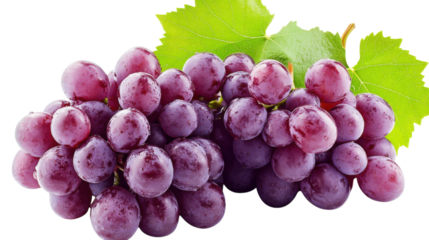 Purple grapes bunch with green leaf isolated on a transparent background