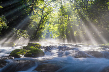 熊本-【菊池渓谷の光芒】