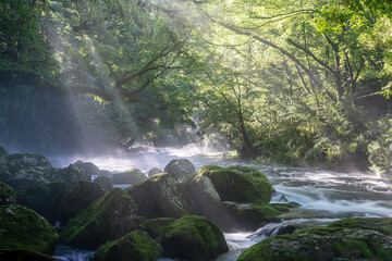 熊本-【菊池渓谷の光芒】