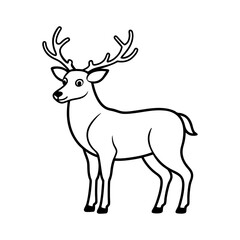 deer vector illustration