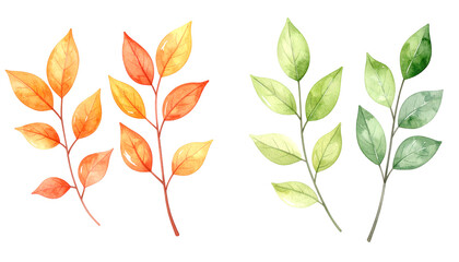 Watercolor illustration of two branches of vibrant autumn leaves in shades of orange and yellow, paired with two branches of fresh green summer leaves on a transparent background