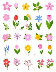Assortment of vibrant floral illustrations in various shapes and colors