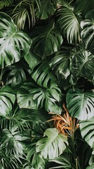 Lush tropical foliage, vibrant green leaves