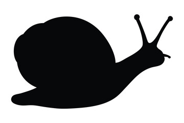 Snail silhouette, snail sea shell silhouette vector illustration