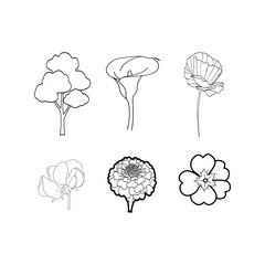 Three flower outlines silhouette isolated on white background