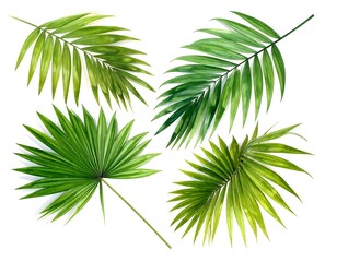 Assortment of fresh, vibrant green tropical leaves against a white background