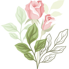 Delicate Pink Roses and Green Leaves Botanical Illustration with Soft Petals and Detailed Outline on Transparent Background