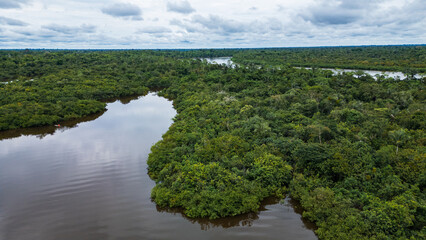 Drone image of the Nanay River in the Amazon rainforest of Iquitos, Peru  a blackwater (igapó)...