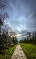 A serene and tranquil pathway beckons to explore, surrounded by lush greenery and dramatic moody...