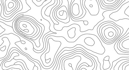 Abstract Topographic Map Illustration with Contours for Geography and Cartography Designs Surface Elevation Visualizations and Land Elevation Data