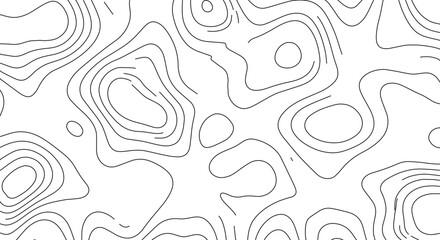 Abstract Topographic Map Lines in Black and White Ideal for Backgrounds and Designs Exploring Altitude and Terrain