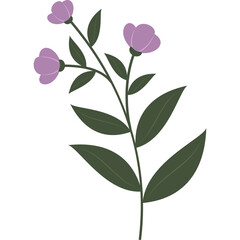 Delicate Purple Flowers and Green Leaves on a Transparent Background Vector Illustration Minimalist Botanical Art Botanical Illustration Nature Elements