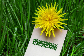 Renaturierung © blende11.photo