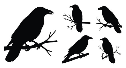 Collection of five detailed black bird silhouettes perched on tree branches against a white background silhouette