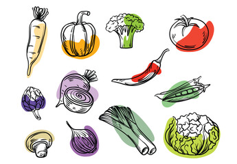 vegetable sketch with abstract sketch brush shape