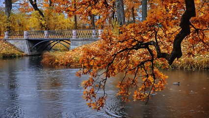 View of the city park in autumn