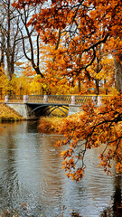 View of the city park in autumn