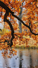 View of the city park in autumn