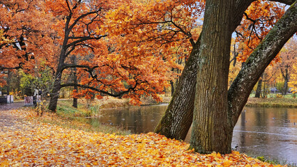 View of the city park in autumn