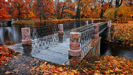 View of the city park in autumn