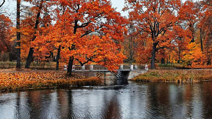 View of the city park in autumn