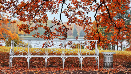View of the city park in autumn