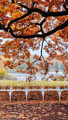 View of the city park in autumn