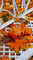 View of the city park in autumn