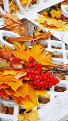 View of the city park in autumn