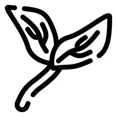 Leaf icon