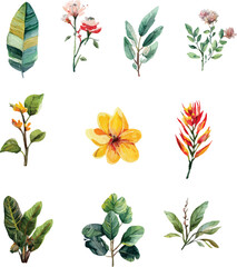 set of colorful flowers