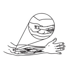 Arm Muscles Illustration