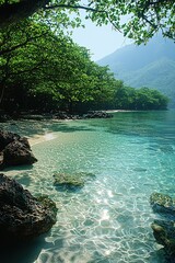 Tropical Forests of Andaman Islands by Clear Beach