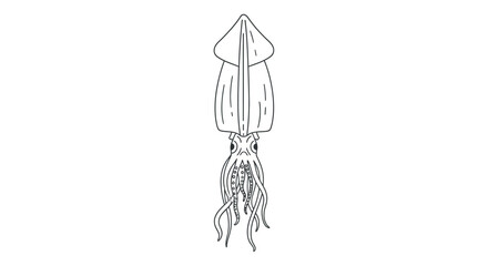 Black and white line drawing of a squid with tentacles.