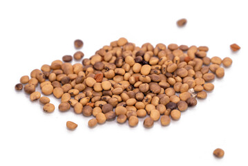 Close up of Dried Organic Cluster beans or Guar phali (Cyamopsis tetragonoloba) seeds isolated on white background.