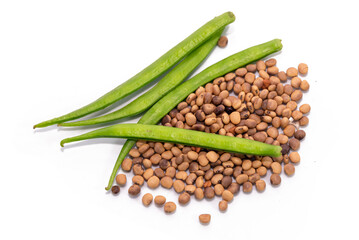Close up of Dried Organic Cluster beans or Guar phali (Cyamopsis tetragonoloba) seeds isolated on white background.