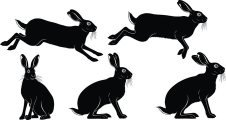 Black hare rabbit poses collection, running and sitting bunny silhouette set, wild animal illustration for nature design, pet art, vector drawing © Amol Chandra