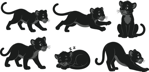 Cute black panther cub character set, playful baby wildcat poses, adorable jungle animal design collection, cartoon illustration for kids, vector artwork © Amol Chandra