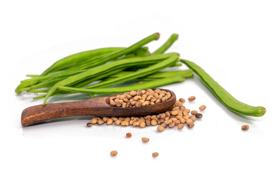 Close up of Dried Organic Cluster beans or Guar phali (Cyamopsis tetragonoloba) seeds isolated on white background.