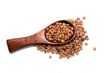 Close up of Dried Organic Cluster beans or Guar phali (Cyamopsis tetragonoloba) seeds isolated on white background.