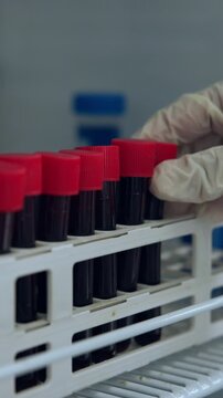 Blood, sample in fridge and hands in lab with scientist for medical research, genetic mapping and investigation. Science, person and vials for DNA study, analysis and scientific experiment for health