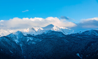 The landscape view of Snow-Capped Peaks and Evergreen Forest