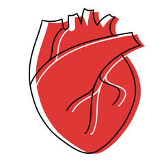 Red line and shape forming an anatomical heart, expressive illustration