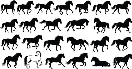 Horse silhouette vector collection, walking, trotting, galloping, rearing poses, black animal graphic, equine motion study, wildlife clipart, side view artwork